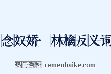 念奴娇·林檎反义词是什么意思的图片